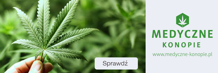 Zrzut-ekranu-2016-04-08-o-11.39.04